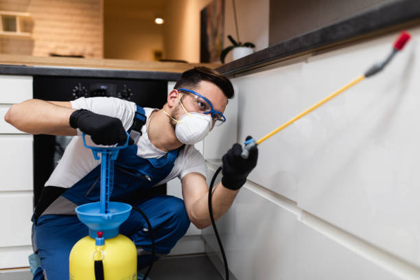 Best Residential Pest Control  in Keuka Park, NY