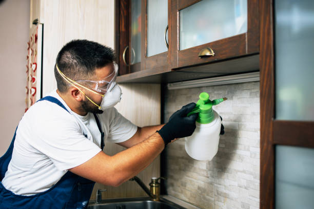 Best Pest Control Near Me  in Keuka Park, NY