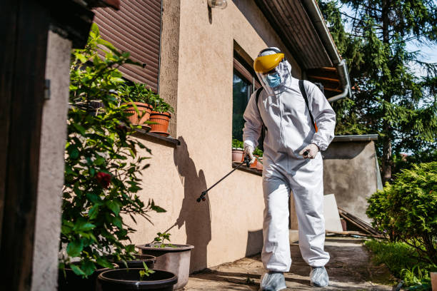 Best Best Pest Control Companies  in Keuka Park, NY