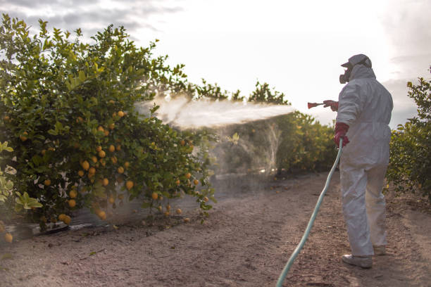 Best Pest Inspection Near Me  in Keuka Park, NY